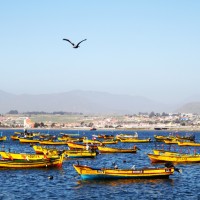 IMG_0160