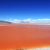 IMG_0606