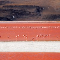 IMG_0675