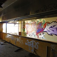 IMG_0803