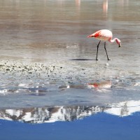 IMG_0814