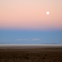 IMG_0934