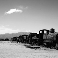 IMG_1245