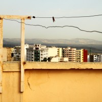 IMG_2846