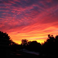 IMG_6592